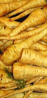 panais