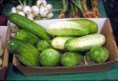 concombre et cornichon